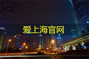 风情万种的上海 __ 夜游